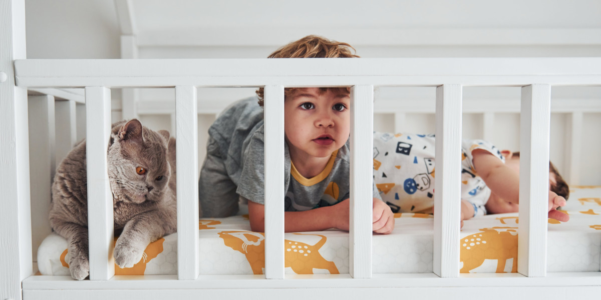 10 Tell-Tale Symptoms You Must Know To Look For A New Great Crib