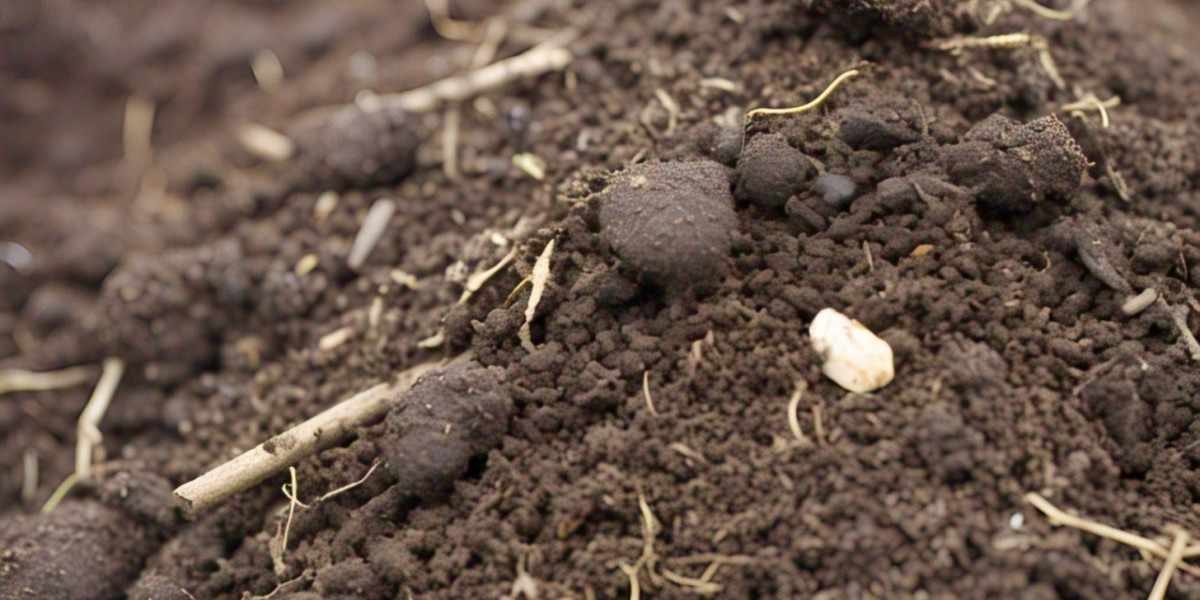 Organic Fertilizer Market Trends Insights 2025-2033