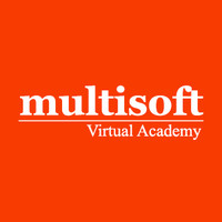 Multisoft Virtual Academy Profile Picture