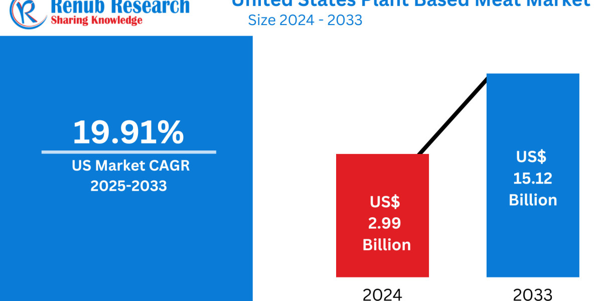 United States Plant-Based Meat Market Insights 2025-2033| Growth & Opportunity Analysis