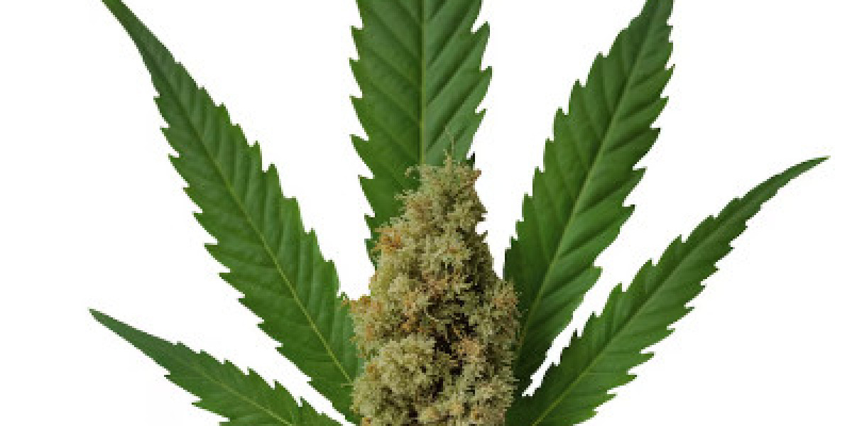 Elevate Every Puff: Your Guide to the Best Live Resin Cartridges