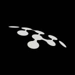 Lobina Transport Services Ltd profile picture