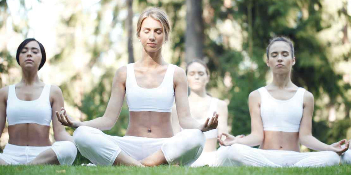 Master the Mind: Best Meditation Yoga Teacher Training in India