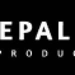 nepalfilmproduction profile picture