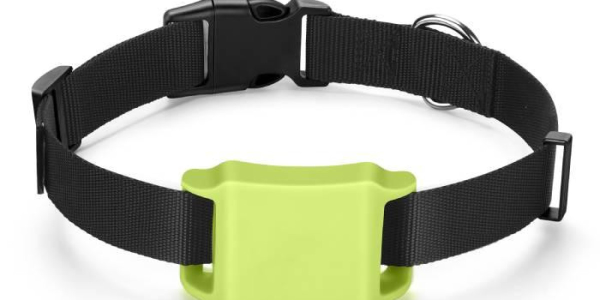 Pawtechpet Pet Tracker: Compact Design with Powerful Features