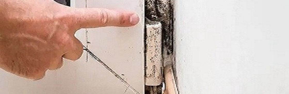 Mould Doctors Cover Image