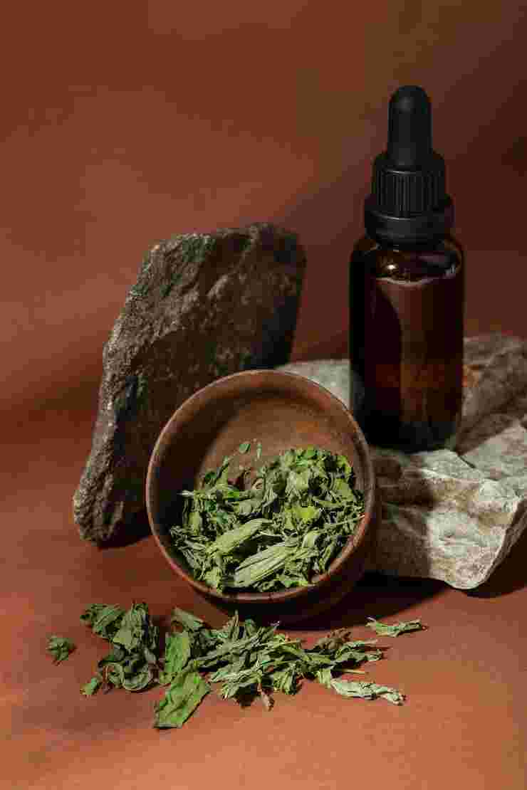 Discover the Best Licensed Cannabis Dispensary in Albany, NY | TCSN