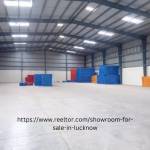 ayush reeltor Profile Picture