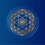 Vibroacoustic Solutions Profile Picture