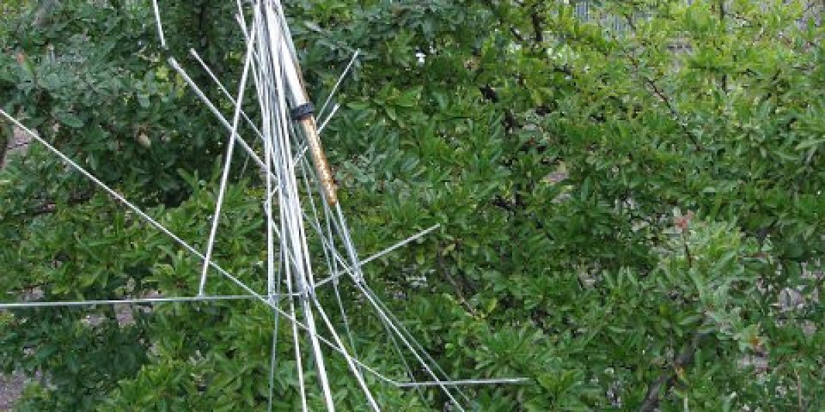 Meet the People Behind the Play