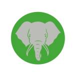 Elephant Trunk Profile Picture