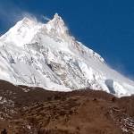 sherpa teams Profile Picture