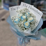 theflower land Profile Picture