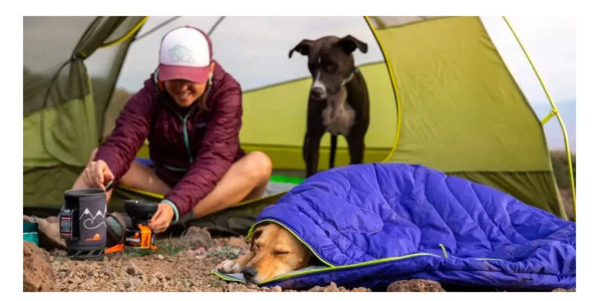 Safe Solo Camping: Where Independence Meets Awareness