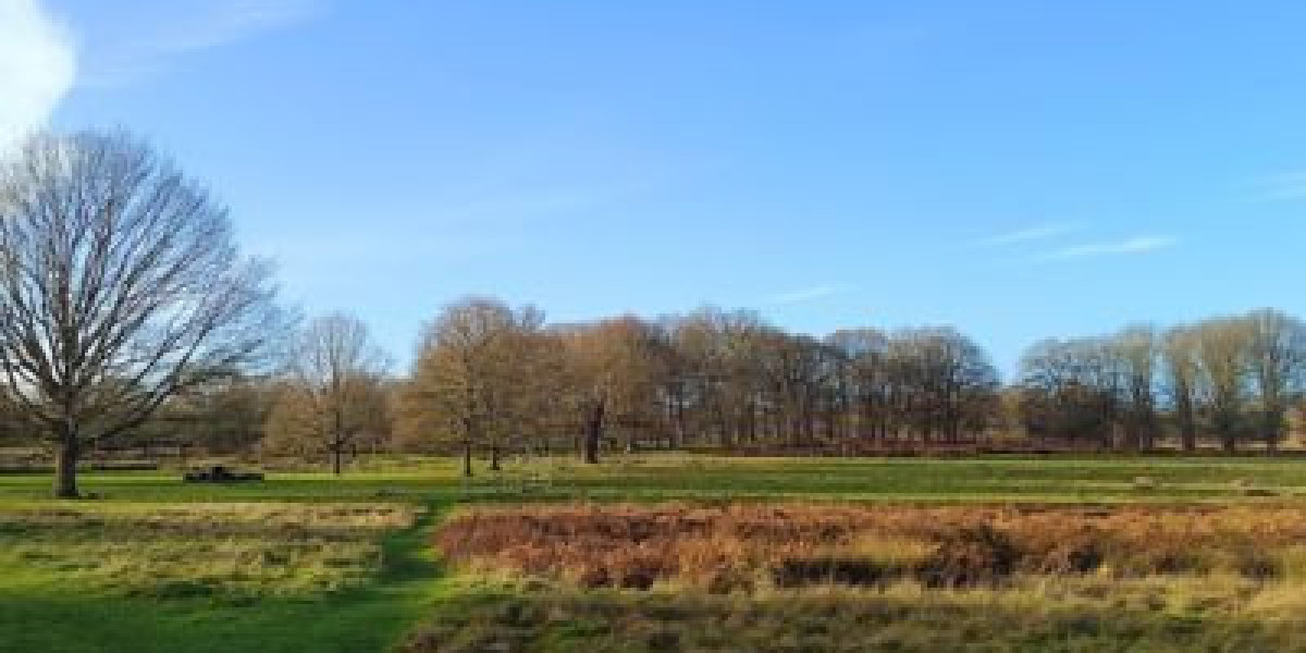 Spiritual Teacher London: Guiding Souls in the Heart of the City