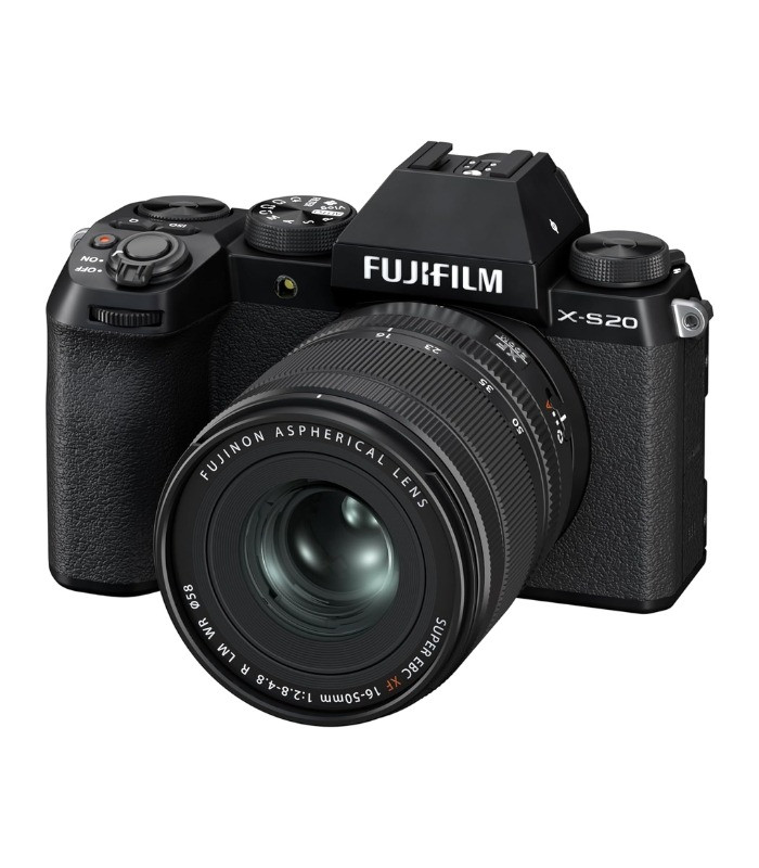 Phillip Davies Profile Picture